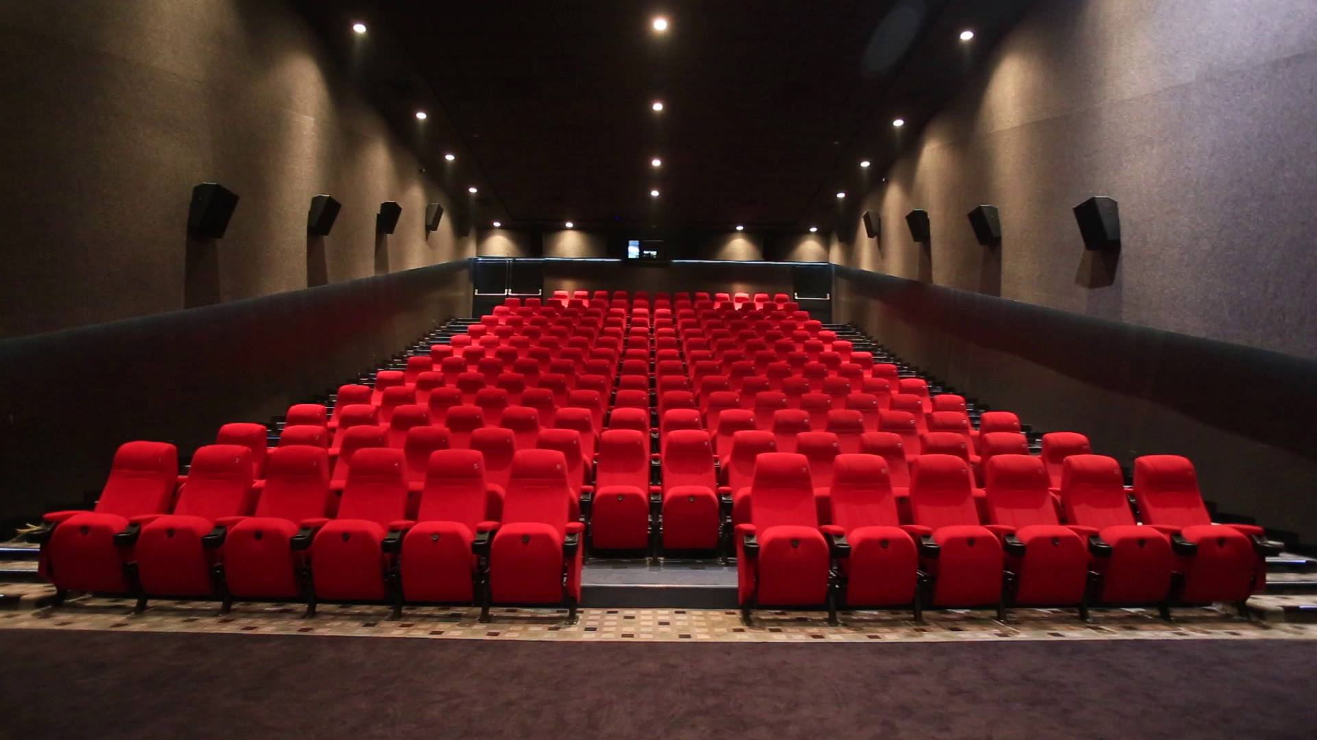Nepal Govt Announces To Close Cinema Halls And Gym Centers Vishwanews