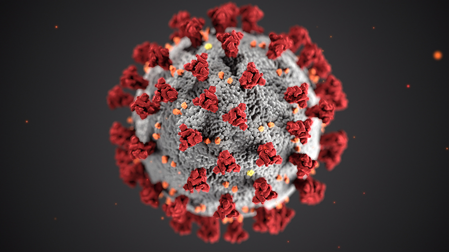 category-corona-virus-11662